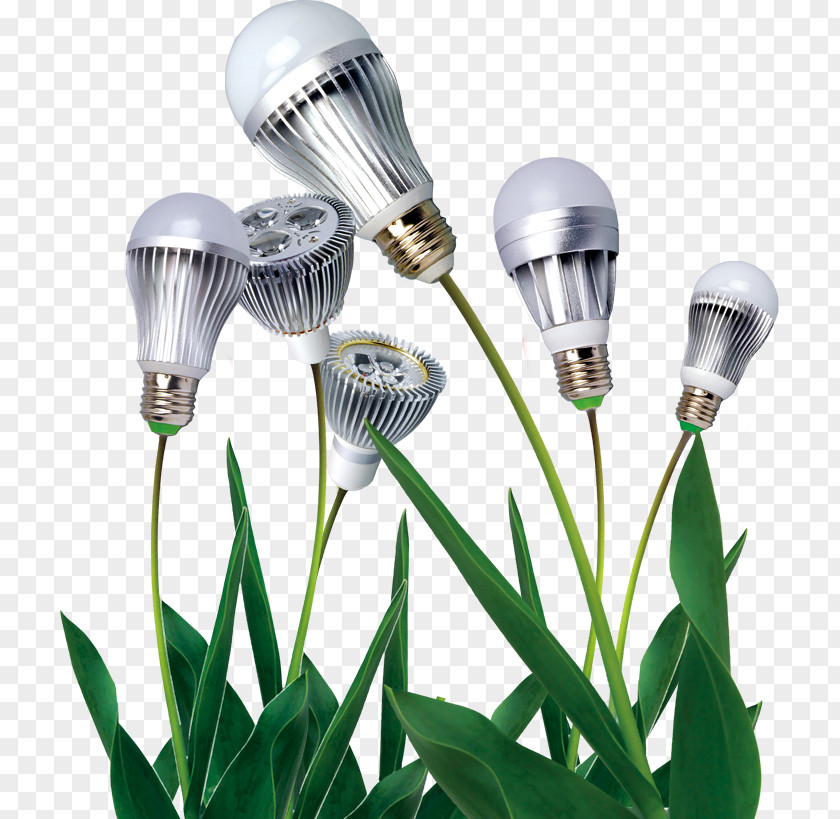 Energy-saving Lighting Design Energy Conservation Advertising Industry Lamp PNG