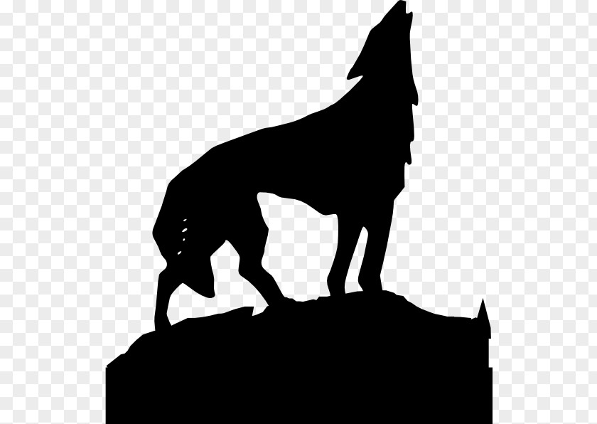 Howling Vector Gray Wolf Clip Art PNG
