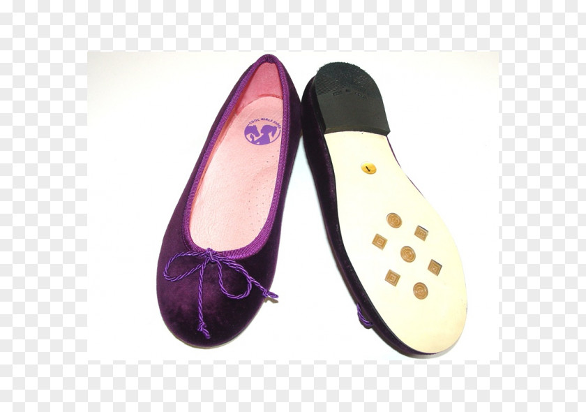 Ballet Flat Slip-on Shoe PNG