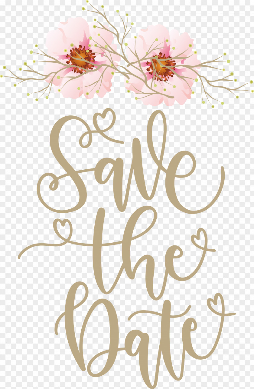 Floral Design PNG