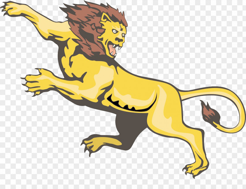 Lion Stock Photography Can Photo Illustration PNG