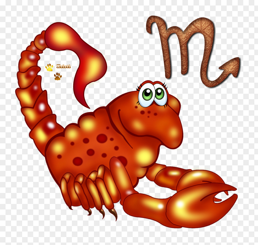 Scorpio Zodiac Astrological Sign Cancer Clip Art PNG