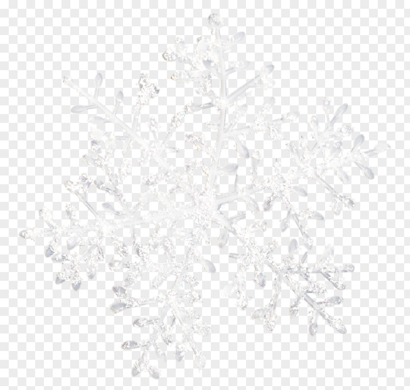 Snowflake Schema White PNG