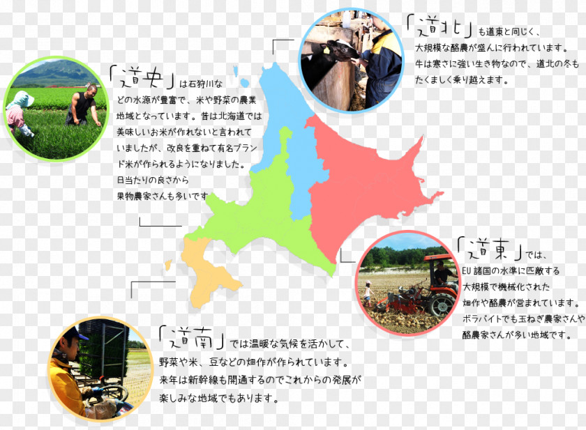 Special Topic Obihiro Tokachi Subprefecture District, Hokkaido Agriculture ボラバイト PNG