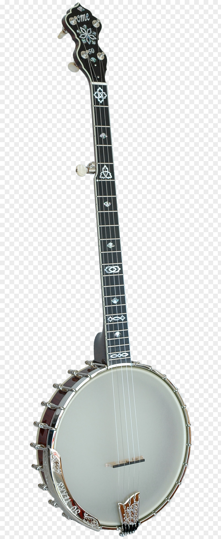 Acoustic Guitar Banjo Uke Mandolin PNG