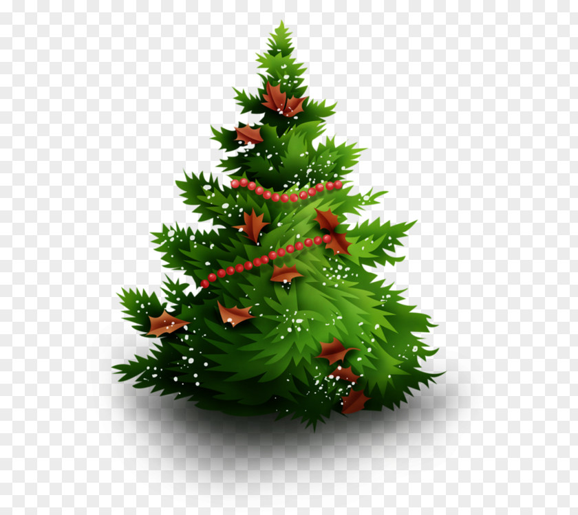 Administration Christmas Tree Ornament Lights Decoration PNG