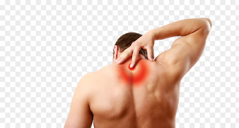 Back Ache Middle Pain Low Human Sciatica Management PNG