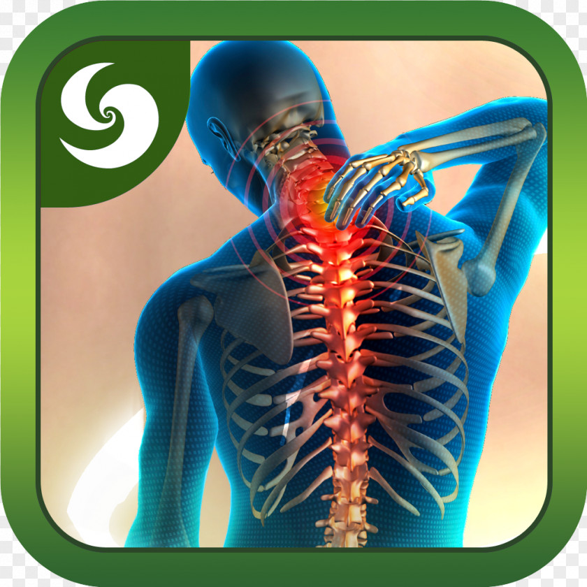 Back Pain Low Neck Management Human PNG