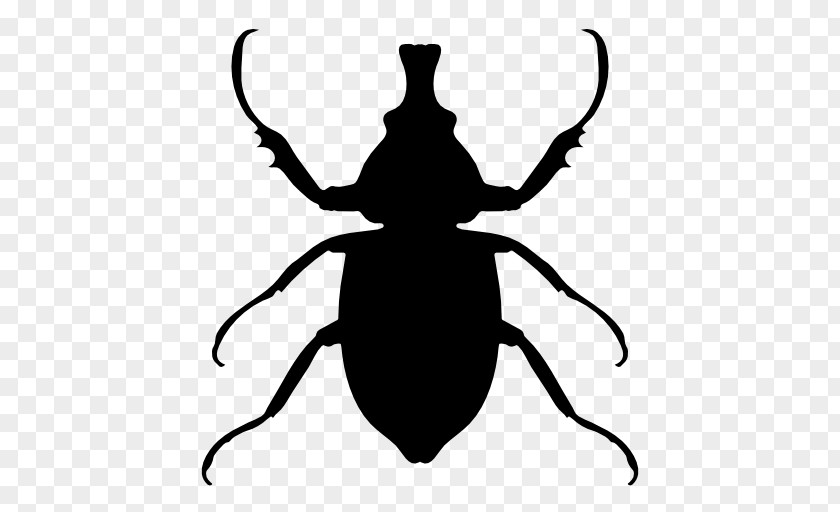 Beetle Silhouette Insect Animal Euclidean Vector Icon PNG