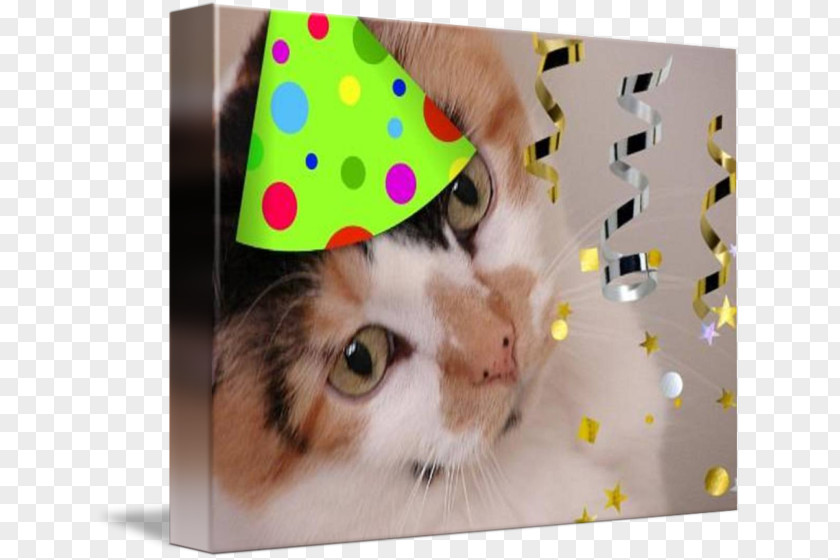 Cat Whiskers Paper Kitten Birthday PNG