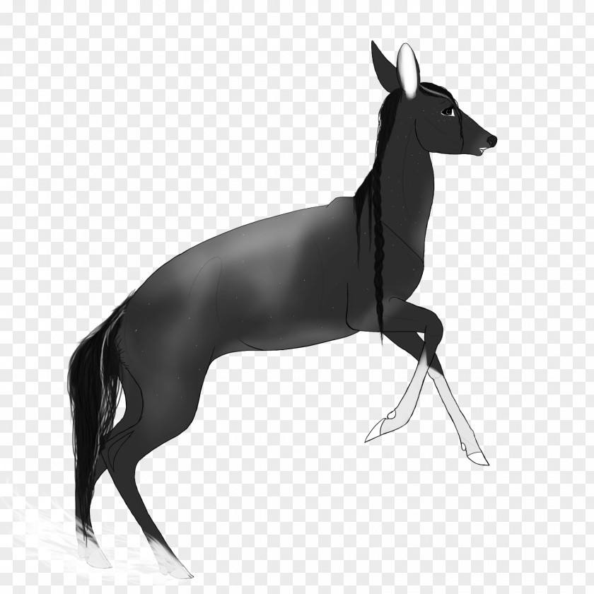 Deer Italian Greyhound Whippet Spanish Dog Breed PNG