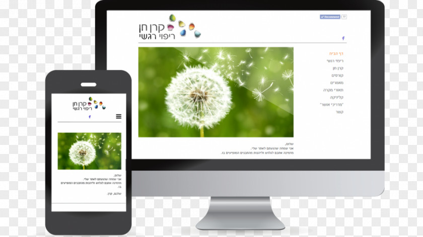 Design Usability Multimedia Web PNG