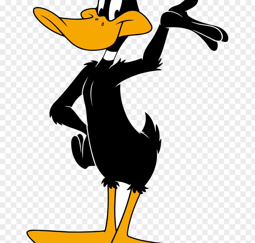 Duck Daffy Donald Looney Tunes Cartoon PNG