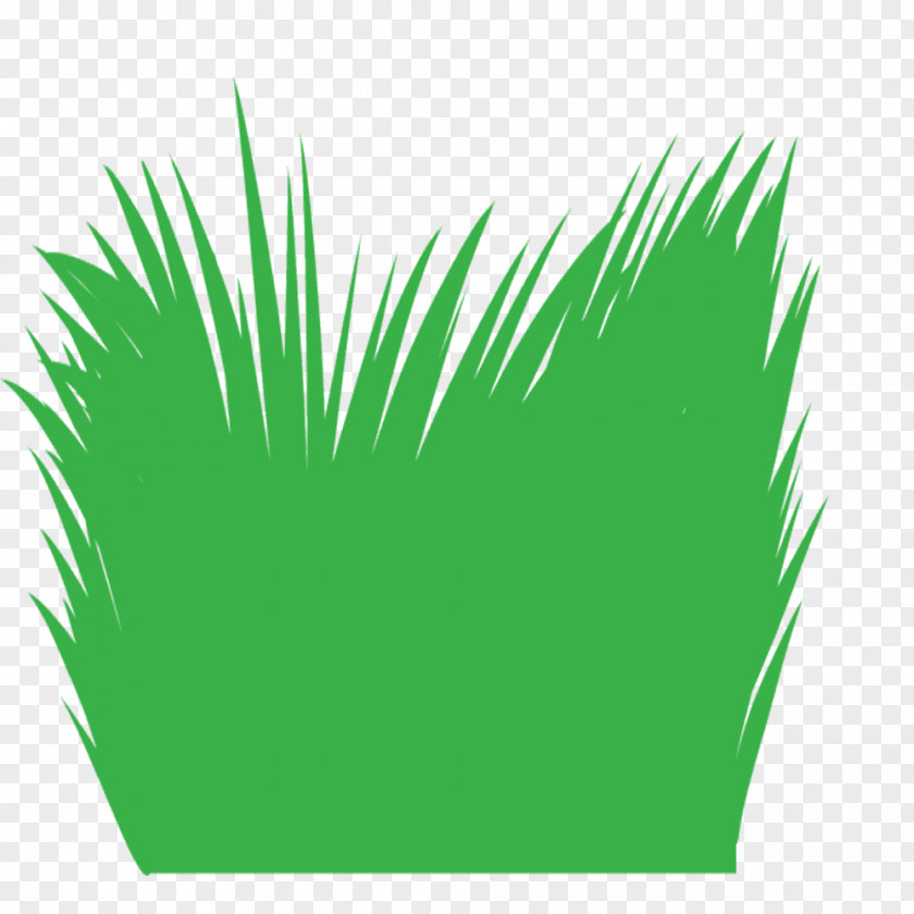 Grasses Line Font Leaf Tree PNG