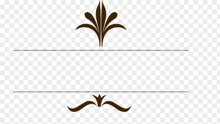 European Gold Border Pattern Logo PNG