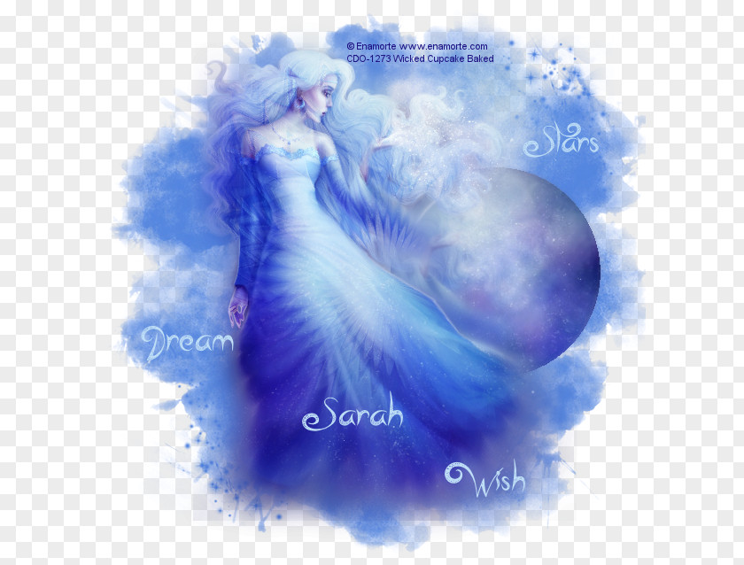Fairy Desktop Wallpaper Poster Organism PNG