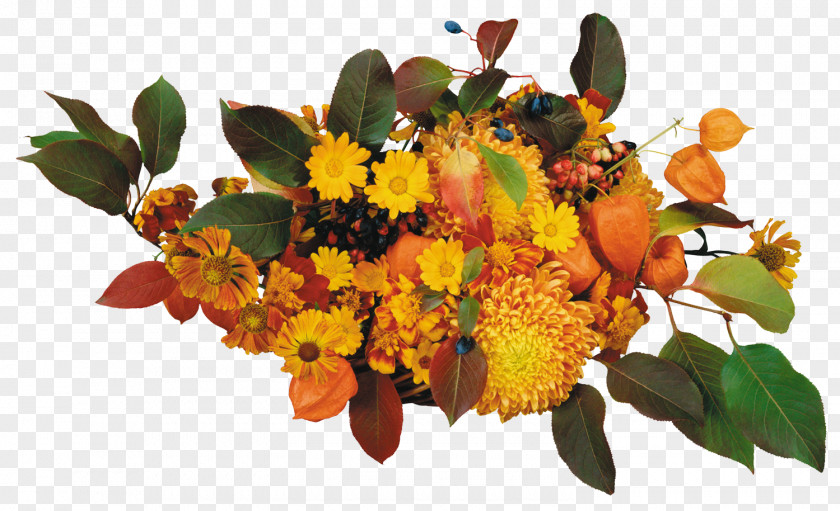 Flower Thanksgiving Day Good Daytime Respect Russia Holiday PNG