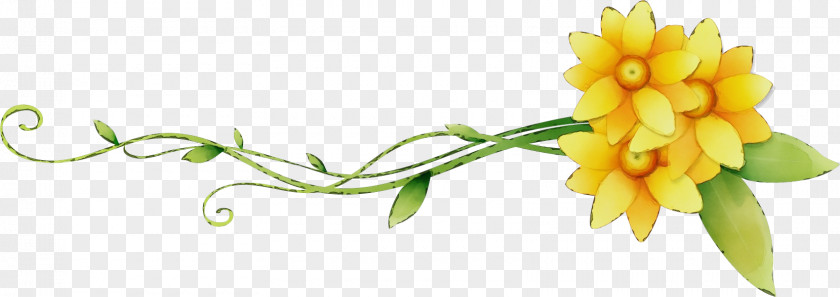 Flower Yellow Cut Flowers Plant Pedicel PNG