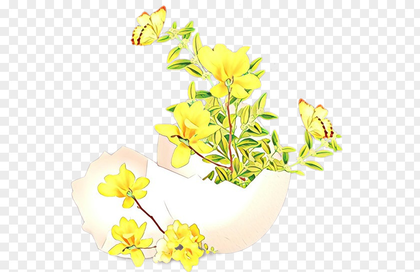 Flower Yellow Plant Cut Flowers Evening Primrose PNG