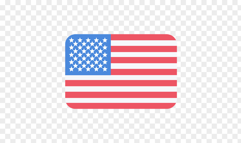 United States Flag Of The Bunting PNG