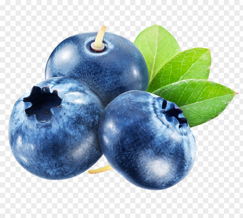 Blue Blueberry Arbutin Material Tea Juice Frutti Di Bosco PNG