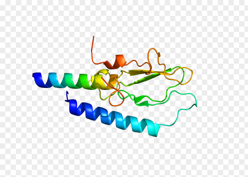 Dulaglutide Glucagon-like Peptide-1 Receptor Agonist Diabetes Mellitus Type 2 PNG