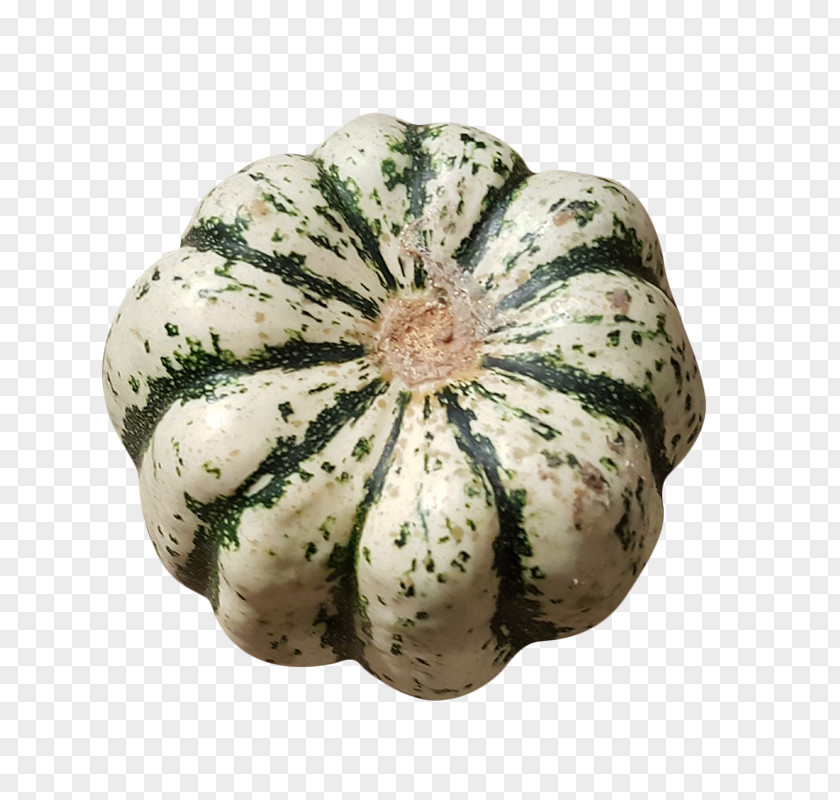 Dumpling GOURD+m Winter Squash Cucurbita Fruit PNG