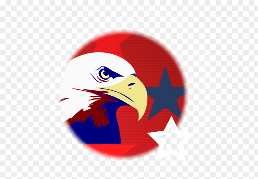 Eagle Bald Logo Beak Blue PNG