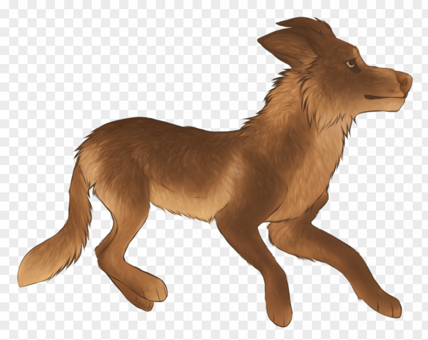 Falling Down Dog Wildlife Terrestrial Animal PNG