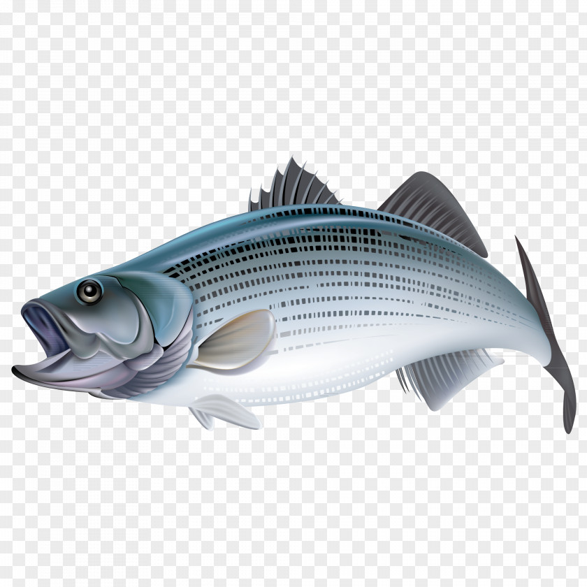 Fish Bony Fishes Sticker Animal PNG