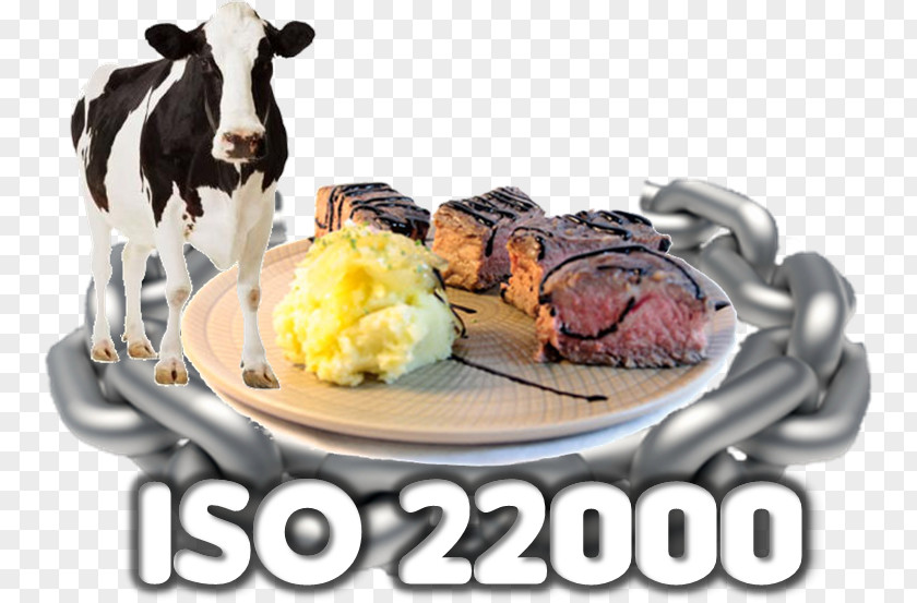 ISO 22000 Food Safety 9001 Hazard Analysis And Critical Control Points PNG