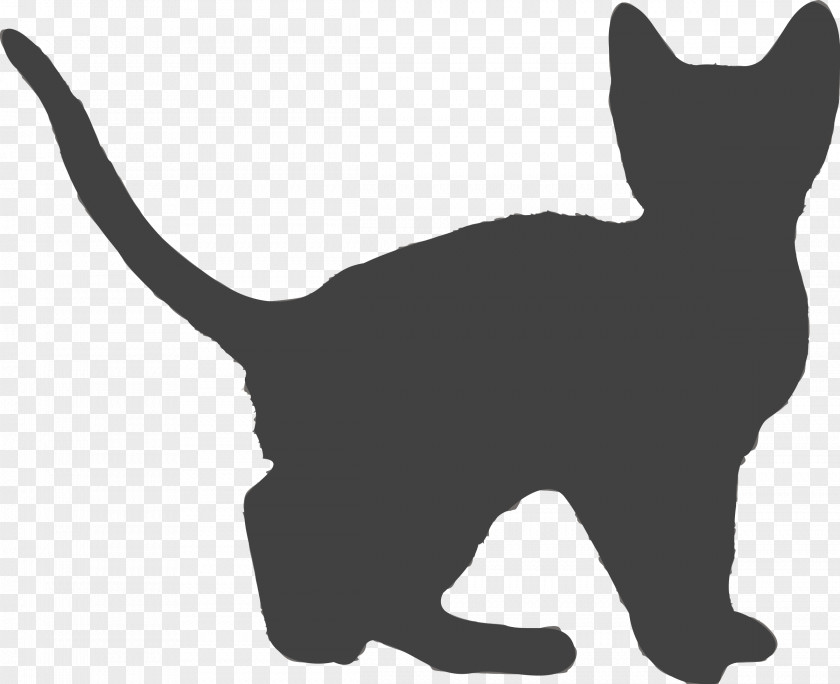 Kitten Whiskers User Interface Clip Art PNG