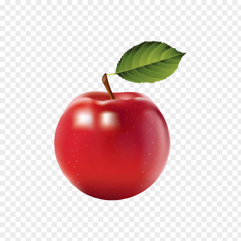 Quasiphysical Apple Fruit Free Content Clip Art PNG