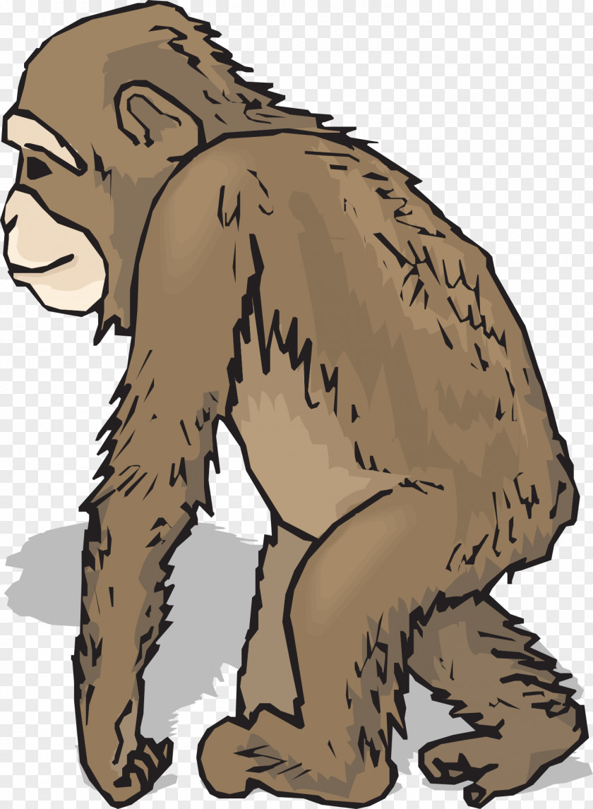Animals Word Cliparts Baby Chimpanzee Free Content Clip Art PNG