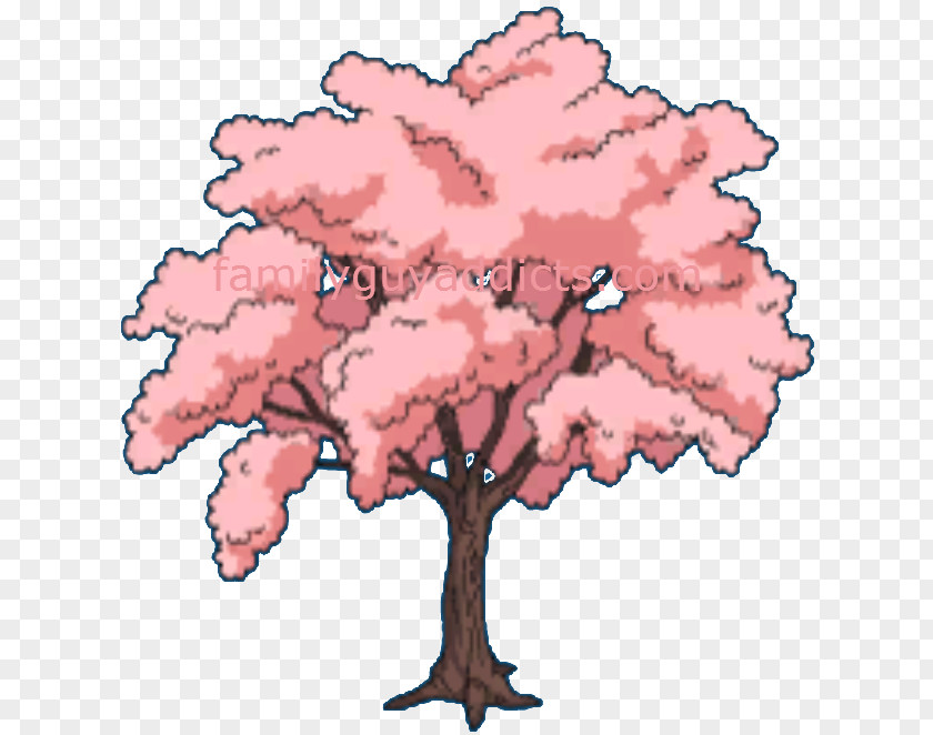 Cherry Blossom Flower Tree PNG