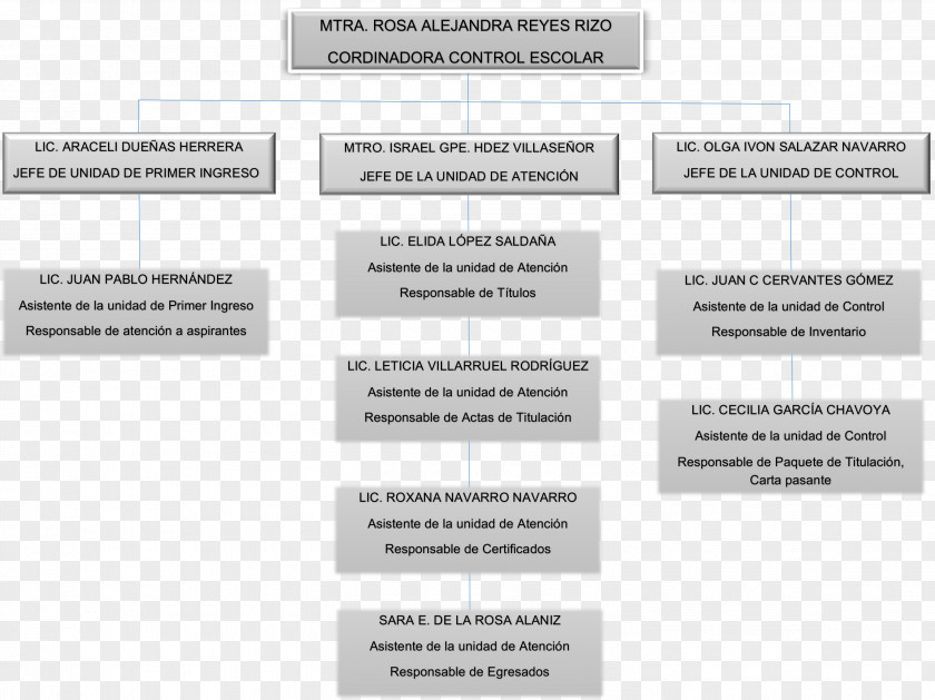 CUCI University Center Of The Cienega Organizational Chart Temuco Catholic Lindavista PNG