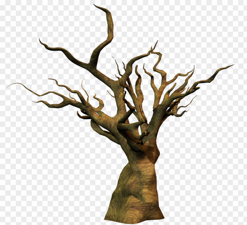 Dead Tree Snag Branch Clip Art PNG
