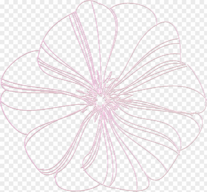 Delicate Lace Drawing Petal /m/02csf Line Pink M PNG
