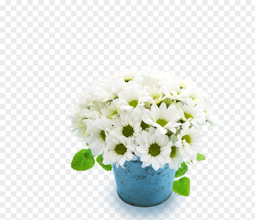 Floral Decoration Desktop Wallpaper Image High-definition Television Photograph Morning PNG