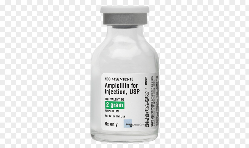 Ceftazidime Ampicillin Injection Pharmaceutical Drug Intravenous Therapy PNG