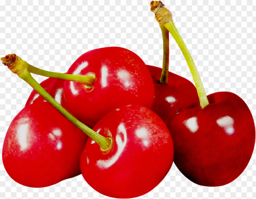 Clip Art Cherries Image Stock.xchng PNG