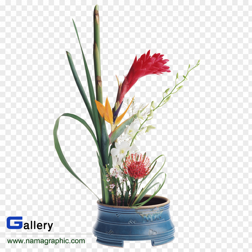 Flower Cut Flowers Floristry Floral Design Bouquet PNG