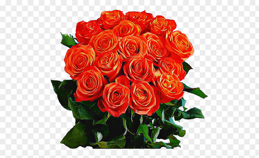 Garden Roses PNG