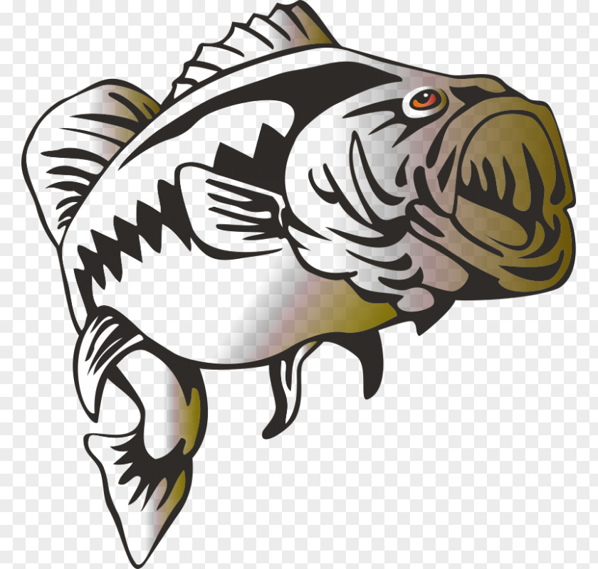 Largemouth Bass Fishing Clip Art PNG