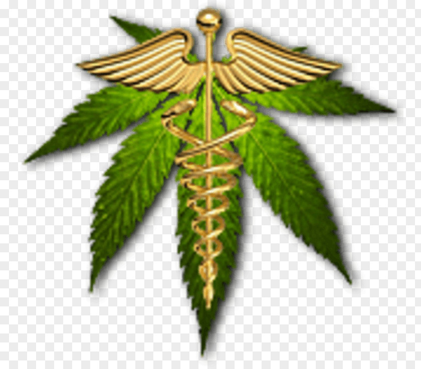 Leaf Cannabis Hemp Tree PNG