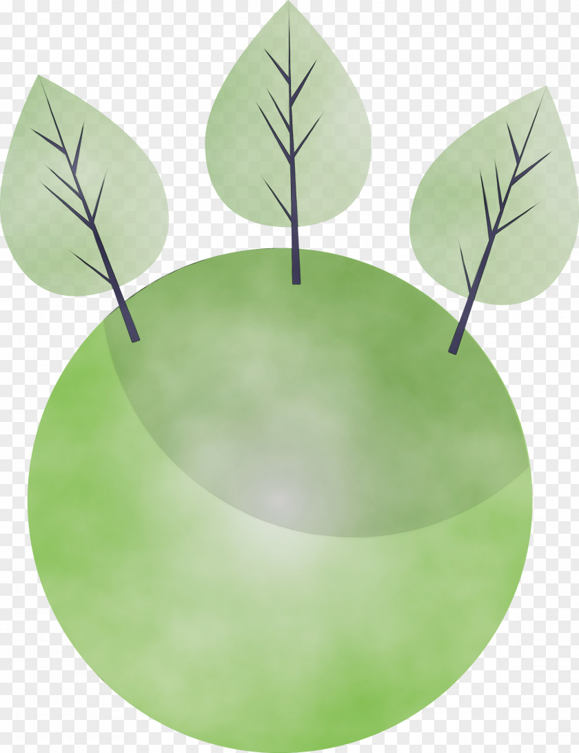 Leaf Green Plant Plate Tree PNG