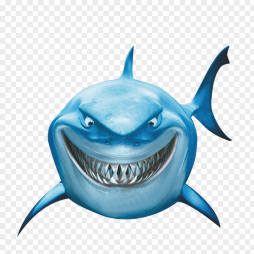 Shark Bruce Marlin Clip Art PNG