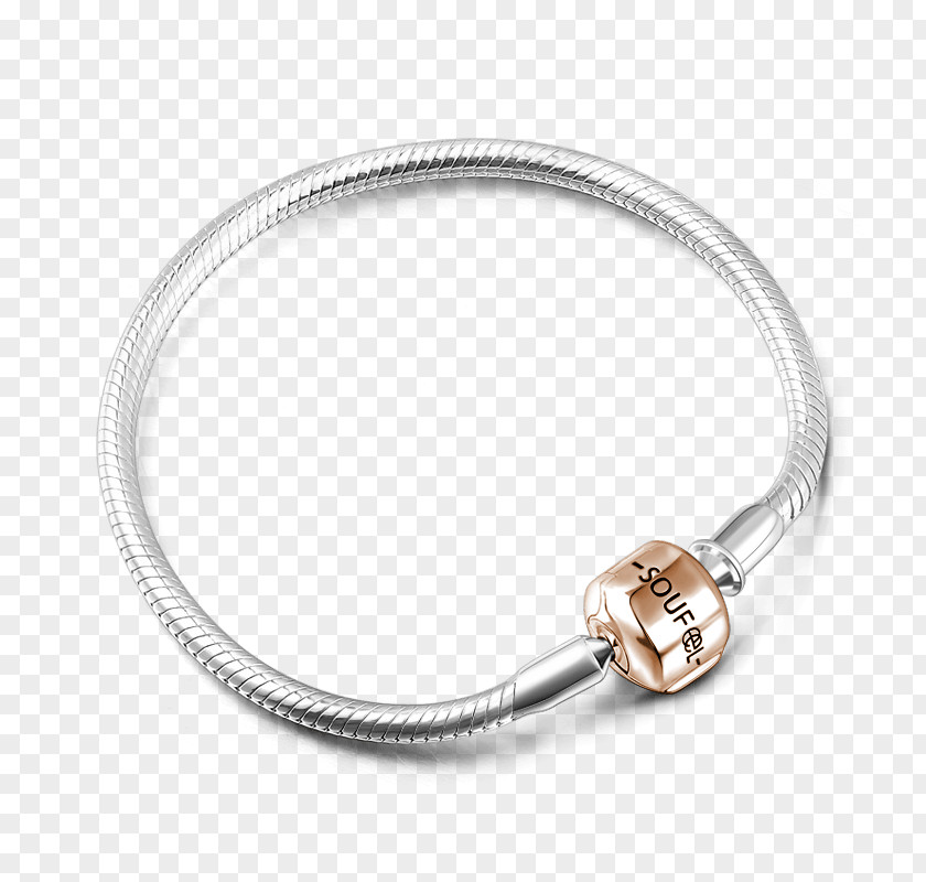 Silver Bracelet Charm Sterling Gold PNG