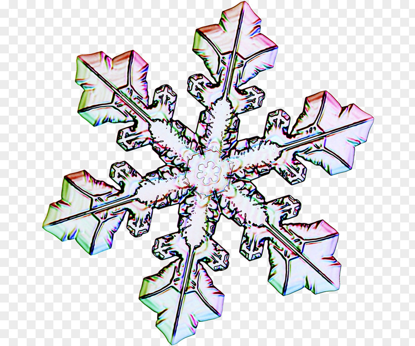 Snowflake Christmas Ornament Gallery Wrap Art AT&T PNG
