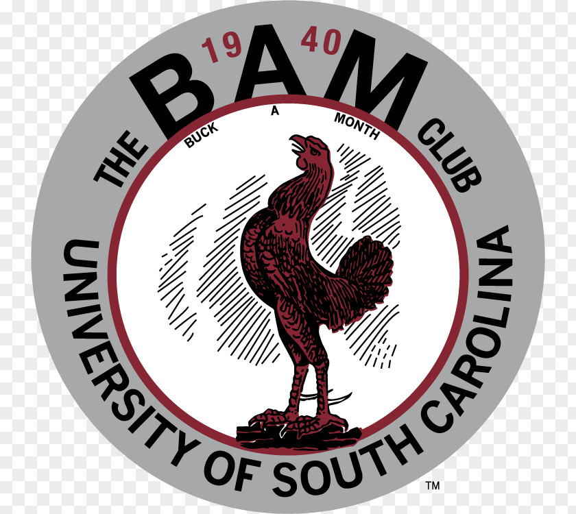 South Carolina Gamecocks Logo University Of PNG